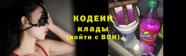 меф Вяземский