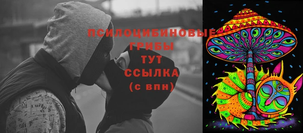 ешки Вязьма