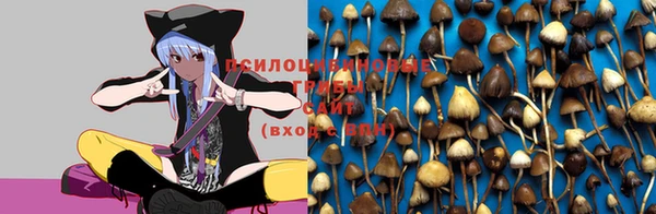 меф Вяземский